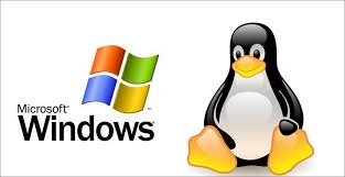 استضافة مواقع linux أو windows